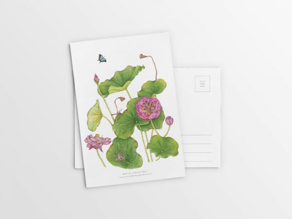 [Minjung Oh] A5 Postcard – Nelumbo – Crimson Velvet 3