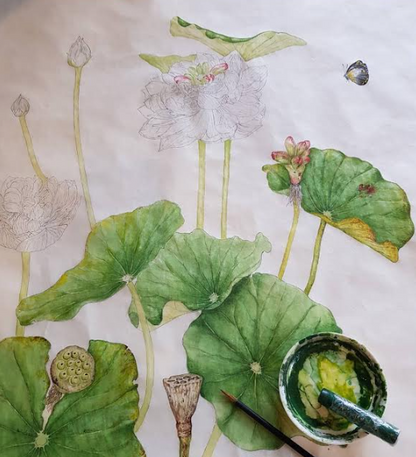 Australia Botanical Artist Original Artwork folding Frame (4pcs)