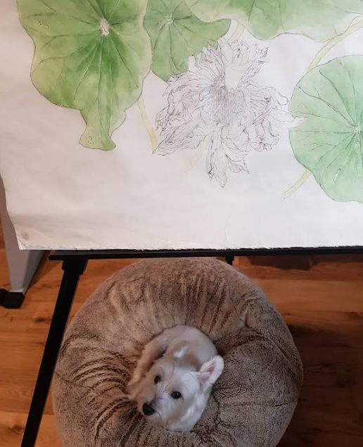 Australia Botanic Artist Painting T shirts (Pink, Medium)