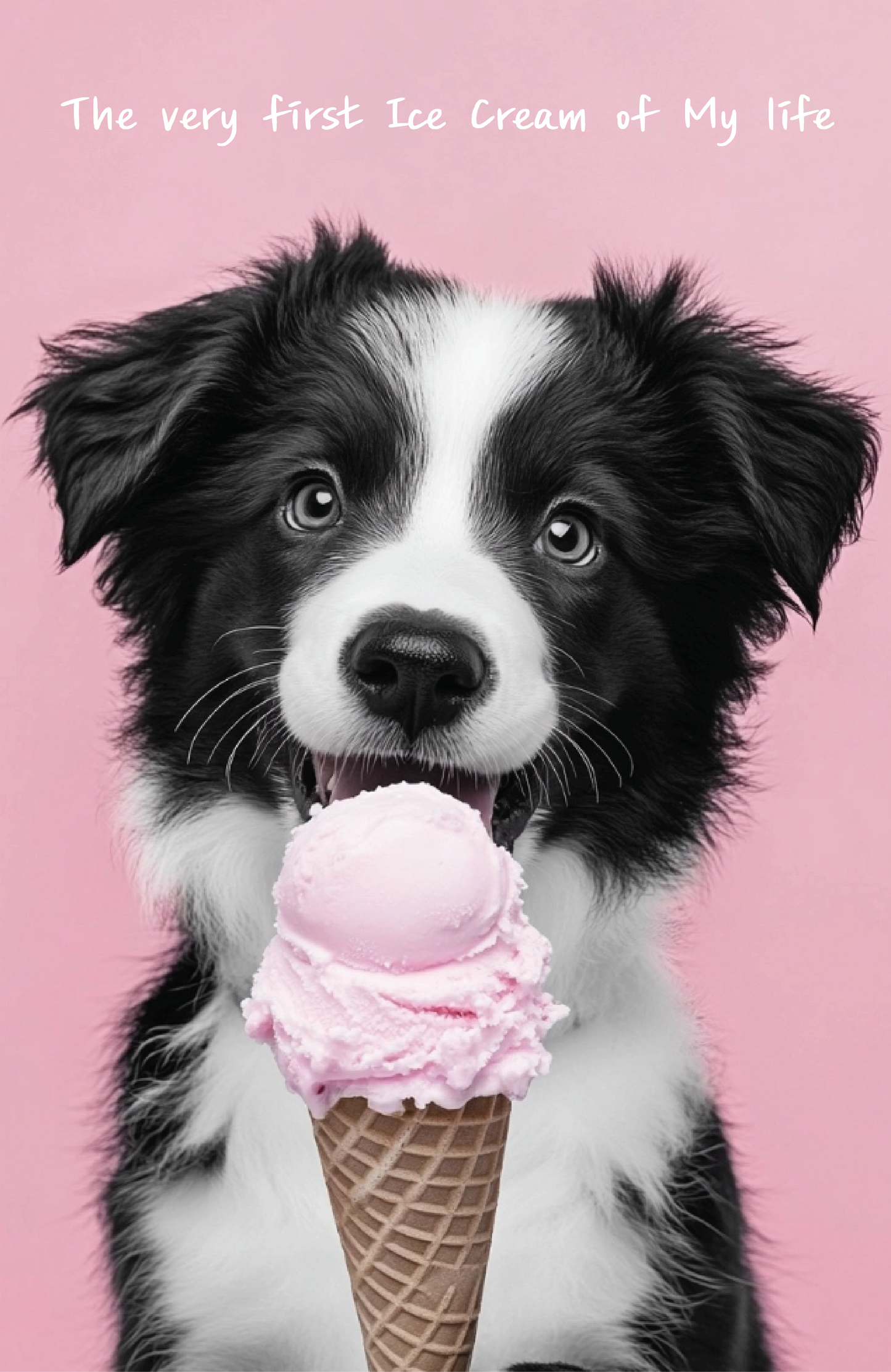 [Awesome Koala Friend] Australian Illuste Desined Womens Casual Long Sleeve "The Very First Ice Cream of My life"