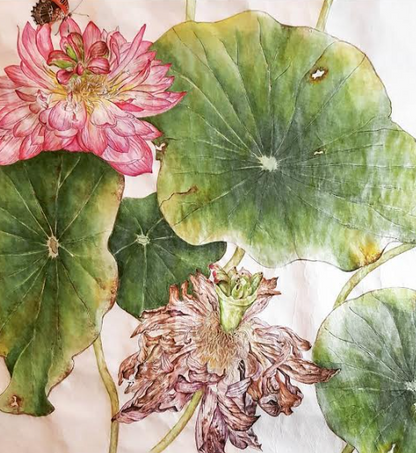 Australia Botanic Artist Painting T shirts (Pink, Medium)