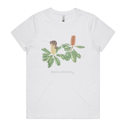 Australia Botanic Art T shirts "Banksia Robur & Queensland Possum" T shirts (white, Medium)