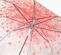 [Artbox] Transparent Umbrella Cherry Blossom Print (S)
