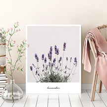 [Franco] Gallery Table Medium Lavender 60 x 48 x 28cm