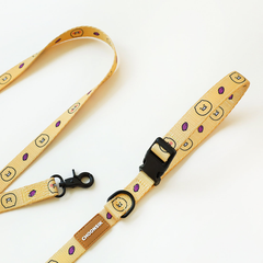 [Kakao Friends] Choonsik Dog Lead (Leash) 2M