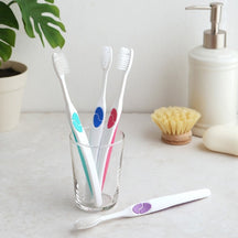 [Only Price] Double Fine Hair Toothbrush 6pcs - 10EA/CTN