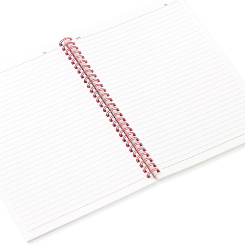 [Pantone] Math Practice Notebook (Divided into Two) (Pink)