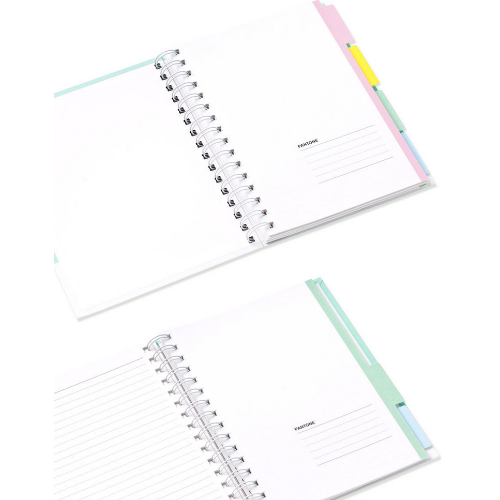 [Pantone] 4P Index Note (Pink)